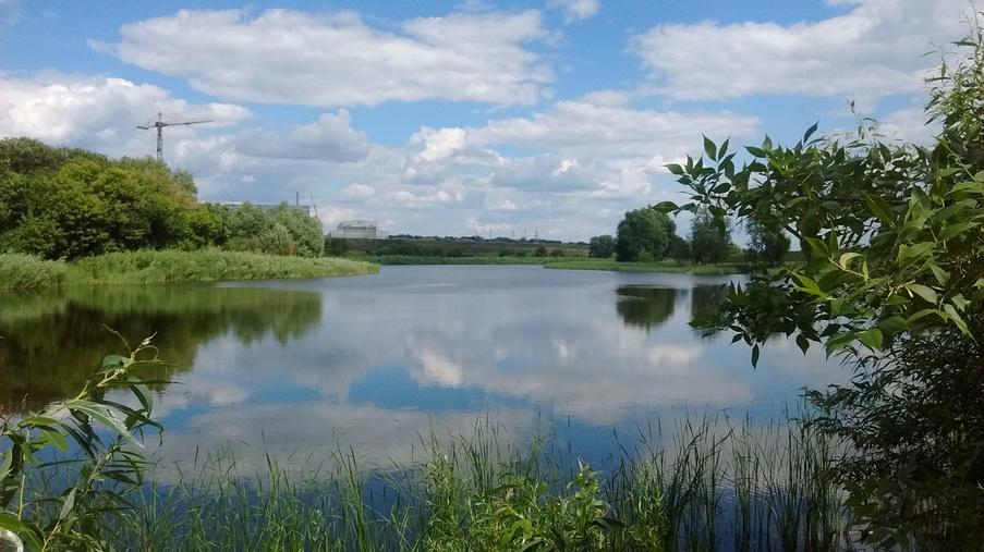 Performing work on cleaning the pond - Eridon Bud - Image - 2