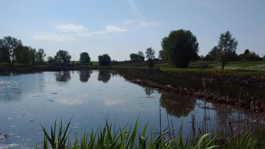 Performing work on cleaning the pond - Eridon Bud - Image - 3