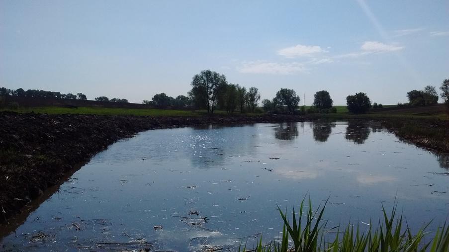 Performing work on cleaning the pond - Eridon Bud - 4 Performing work on cleaning the pond - Eridon Bud - Image - 4