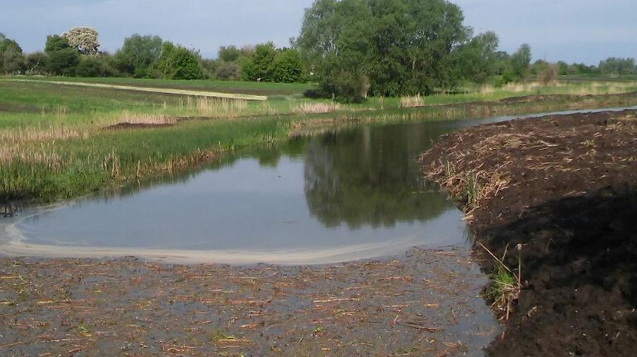 Performing work on cleaning the pond - Eridon Bud - Image - 6