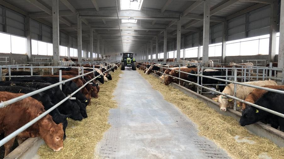 Reconstruction of a dairy farm in Pereyaslav-Khmelnytskyi district - Eridon Bud - 3 Reconstruction of a dairy farm in Pereyaslav-Khmelnytskyi district - Eridon Bud - Image - 3