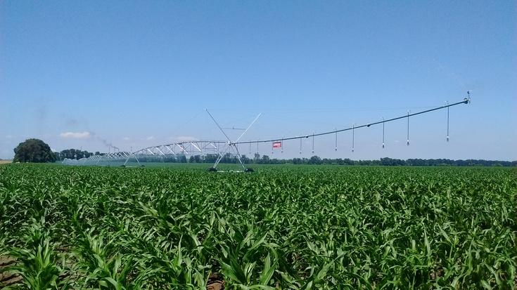 Реалізовані в Україні проекти Ерідон Буд - Зображення - 19